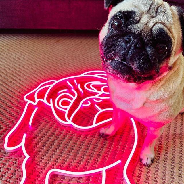 CUTIE -THE PUG NEON SIGN